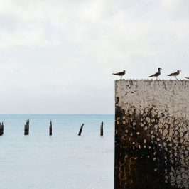 Atrakcje Władysławowa.