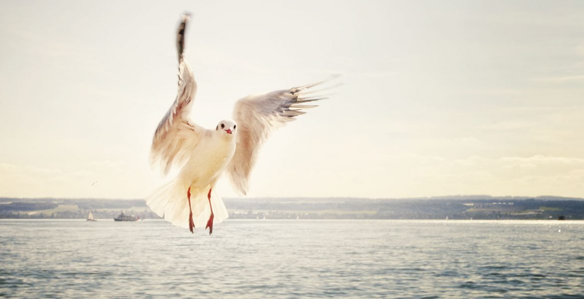 Wakacje nad morzem - Łeba