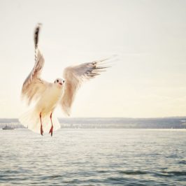 Wakacje nad morzem - Łeba